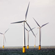 Illustration for article titled Offshore Wind Farms Might Save Us From Hurricanes